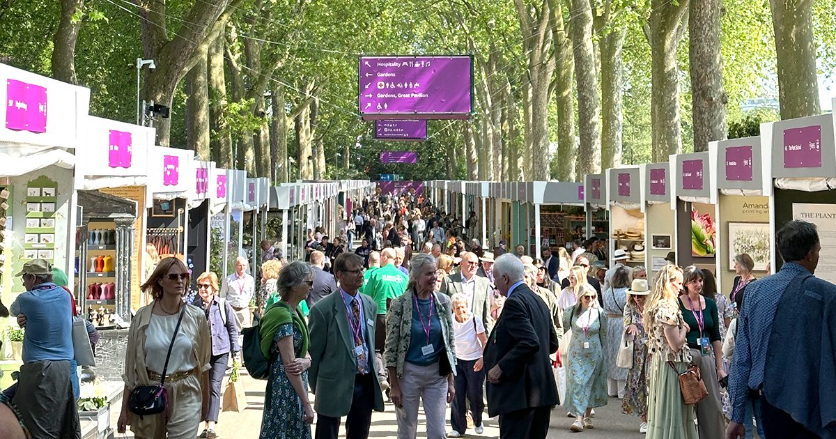 destination digital at RHS chelsea flower show